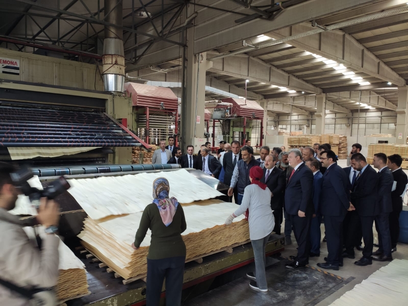 IMG-22-8446-1569657417-1