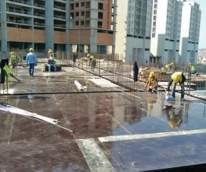 DULGER AĞAÇ SANAYİ A.Ş.